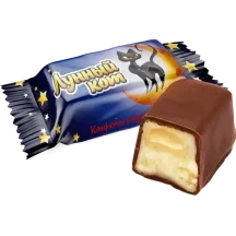 Лунный кот